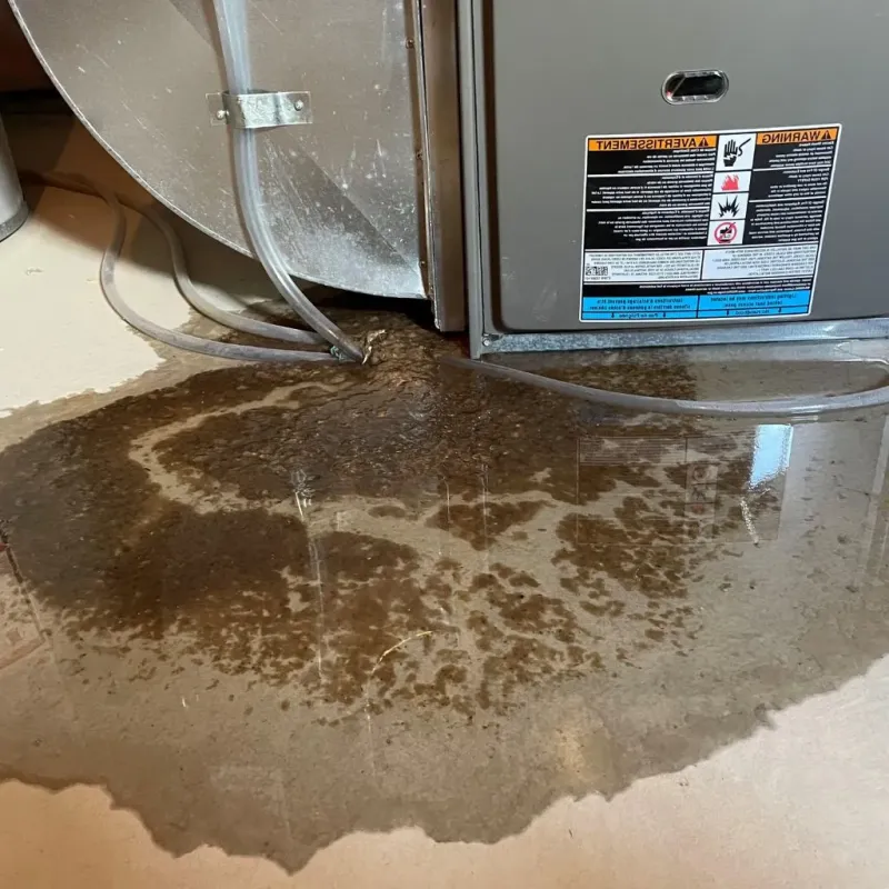 Pipe Burst and Leak Restoration in Big Lake, AK