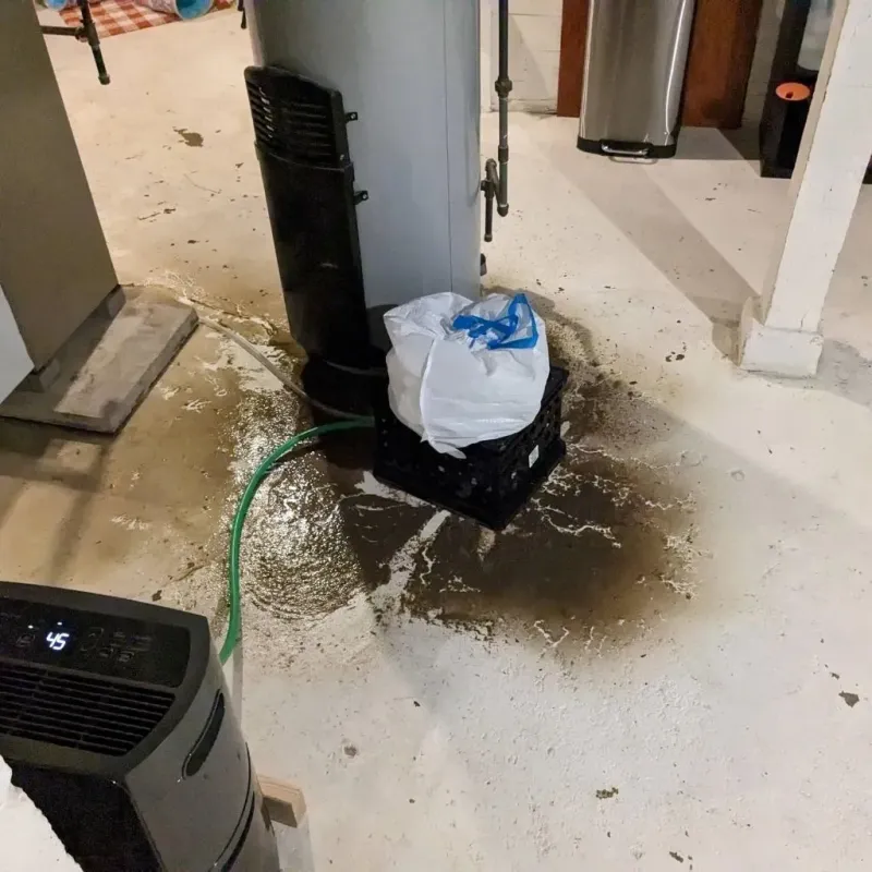 Sewage Backup Cleanup Service in Big Lake, AK